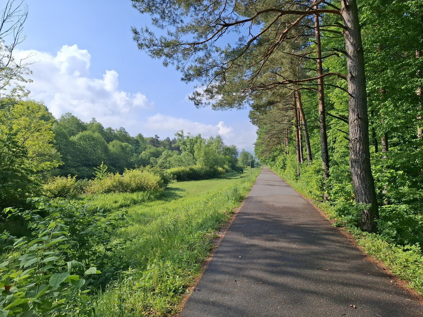 Trasa rowerowa Skoczów - Wisła