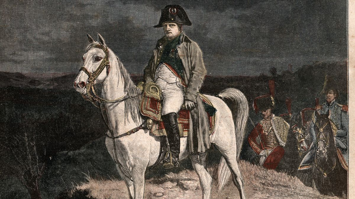 Napoleon Bonaparte na swoim koniu Marengo