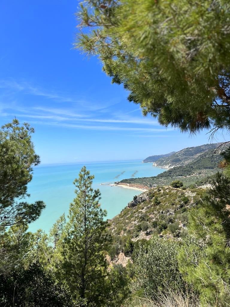Gargano zachwyca zielenią roślinności i turkusem wody