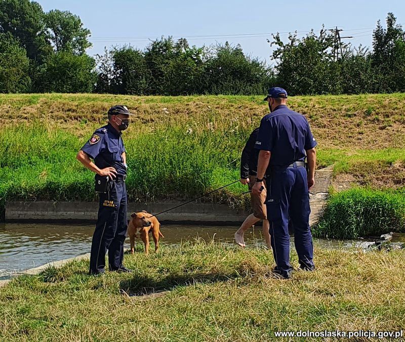 Oława. Poszukiwania nad stawem jelczańskim zakończone. Przez kilka godzin szukano topielca