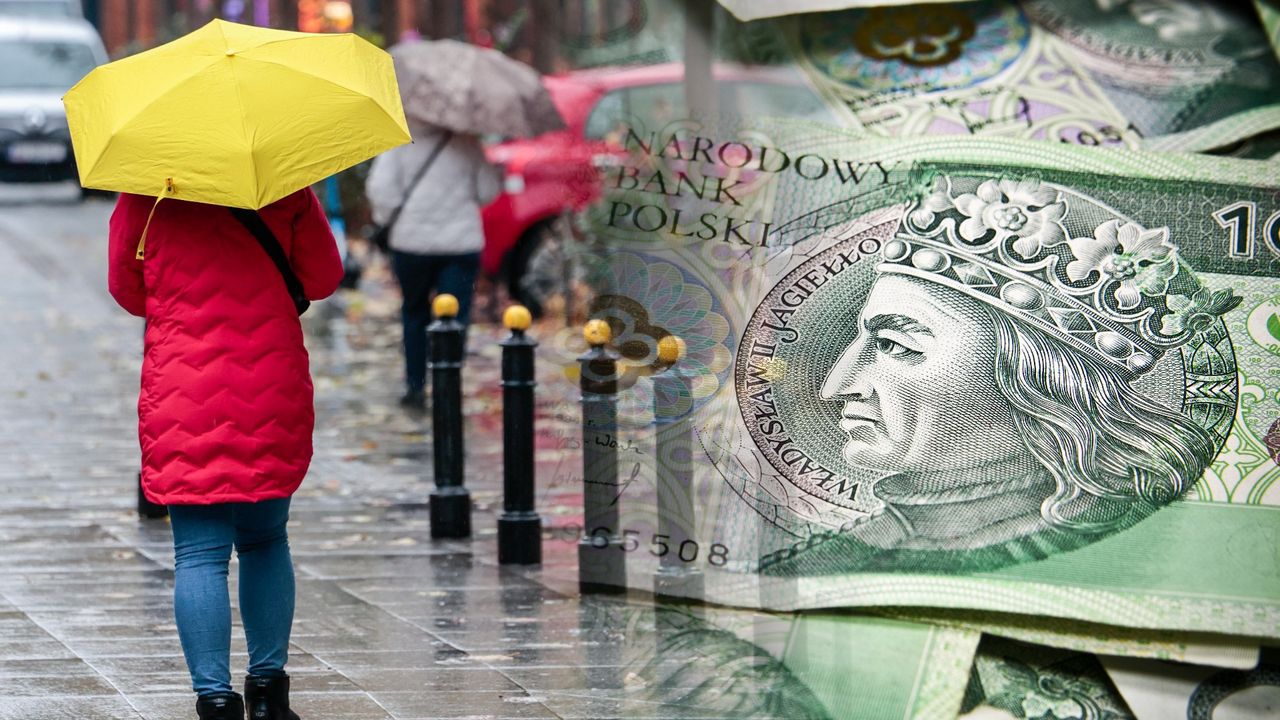 Rząd dokona przeglądu PPK. Będą zmiany w autozapisie?