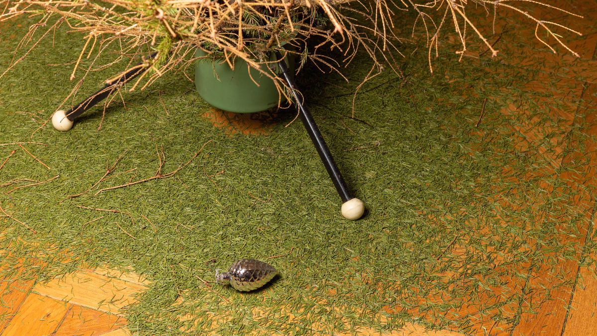 Rozsypane igły choinki to element każdych świąt