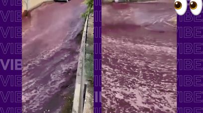 Rzeka wina zalała portugalskie miasto. Straty są ogromne