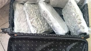 Kielce: Załatwili górę towaru i właśnie wtedy wpadła policja. Zatrzymani mężczyźni trafili do aresztu