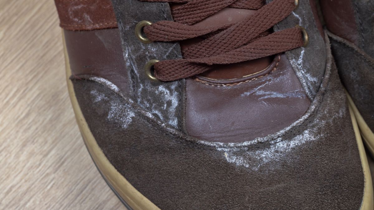 Jak usunąć sól z butów?