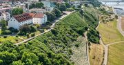 Rada Miasta Płocka ustanowiła dwóch patronów 2024 roku