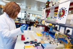 Koronawirus. Przeciwciała na celowniku naukowców. Najnowsze wyniki badań przeczą poprzednim