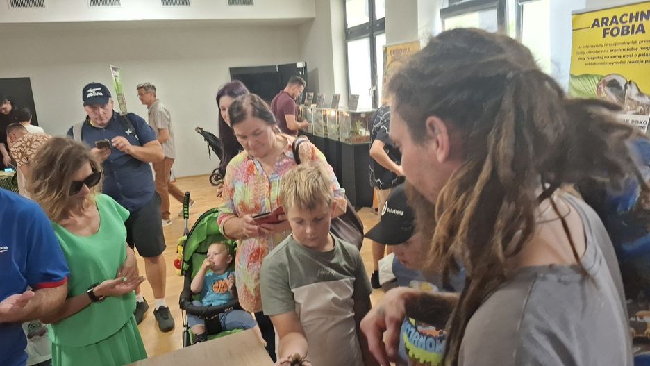 Wystawa pająków, którą warto odwiedzić. Wszystko w ramach Święta Kwiatów, Owoców i Warzyw