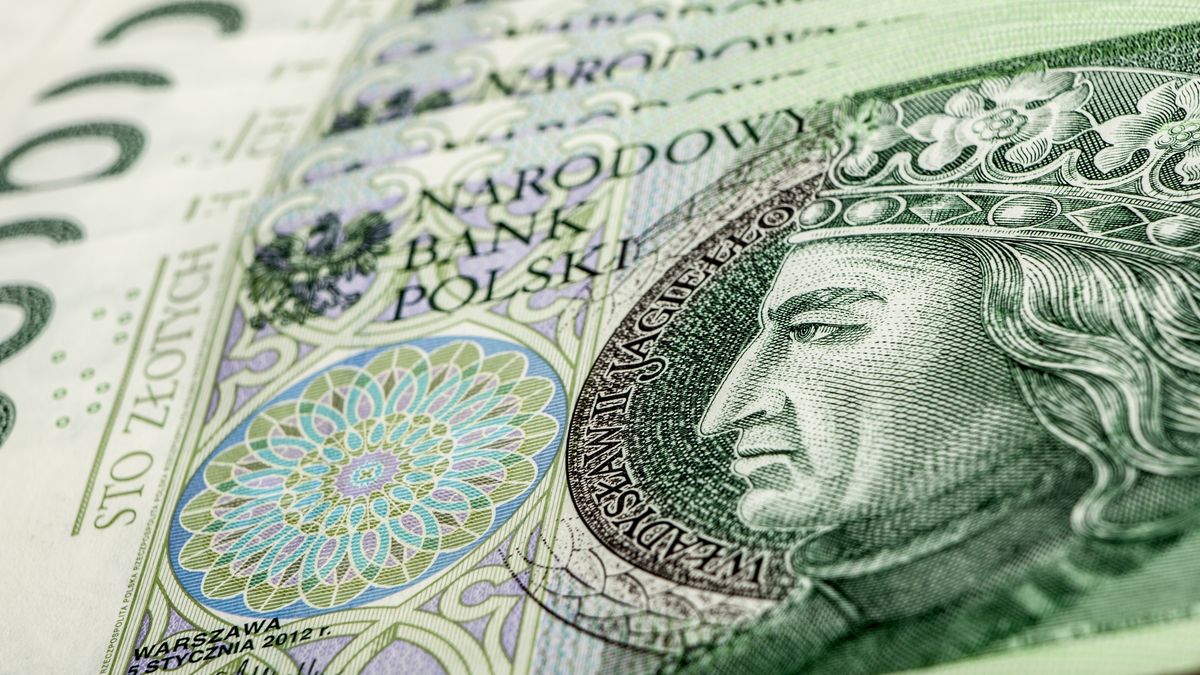 Pieniądze; złoty; banknoty; 100 złotych; 100 zł; sto zł; sto złotych; gotówka