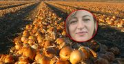 Oddaje tony cebuli. Rolniczka tłumaczy decyzję