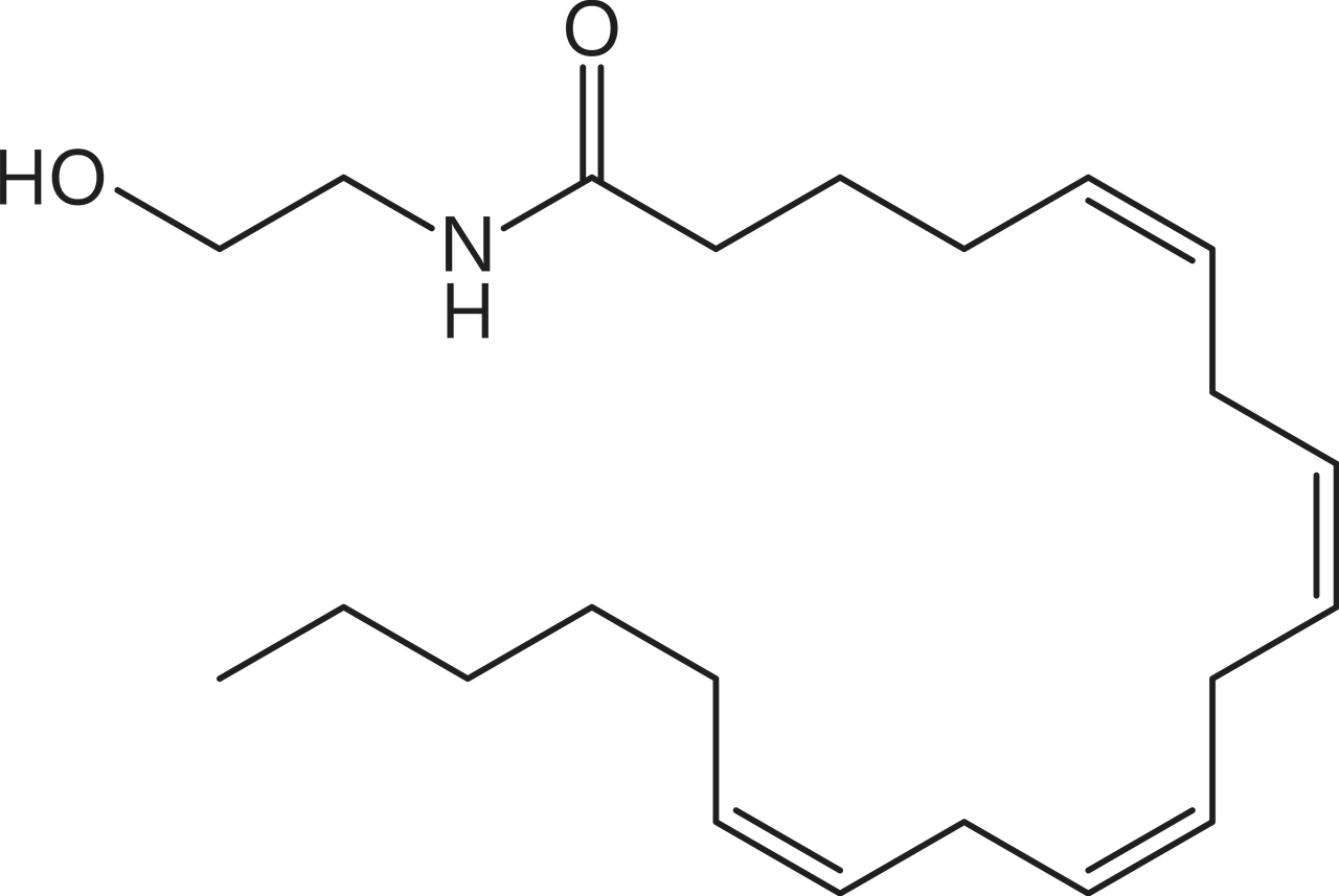 Anandamide. Is it a new neurotransmitter?