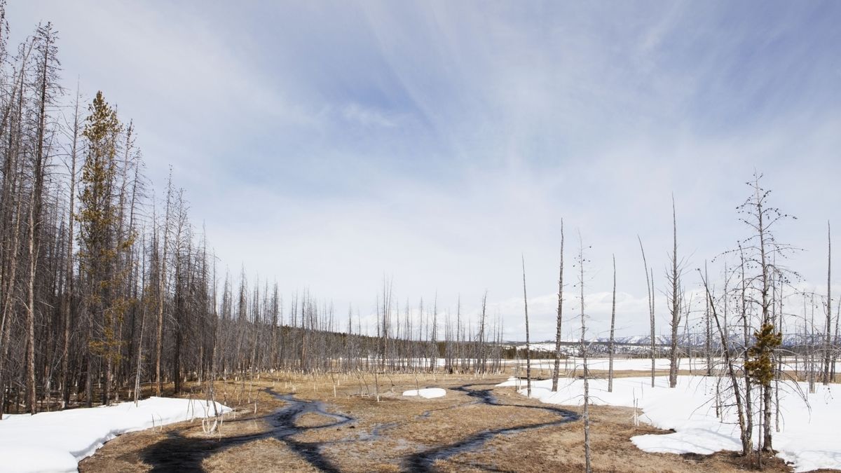 Small River In Spring In Yellowstone National Park; Wyoming United States Of America. (Photo by: Susan Dykstra/Design Pics Editorial/Universal Images Group via Getty Images)