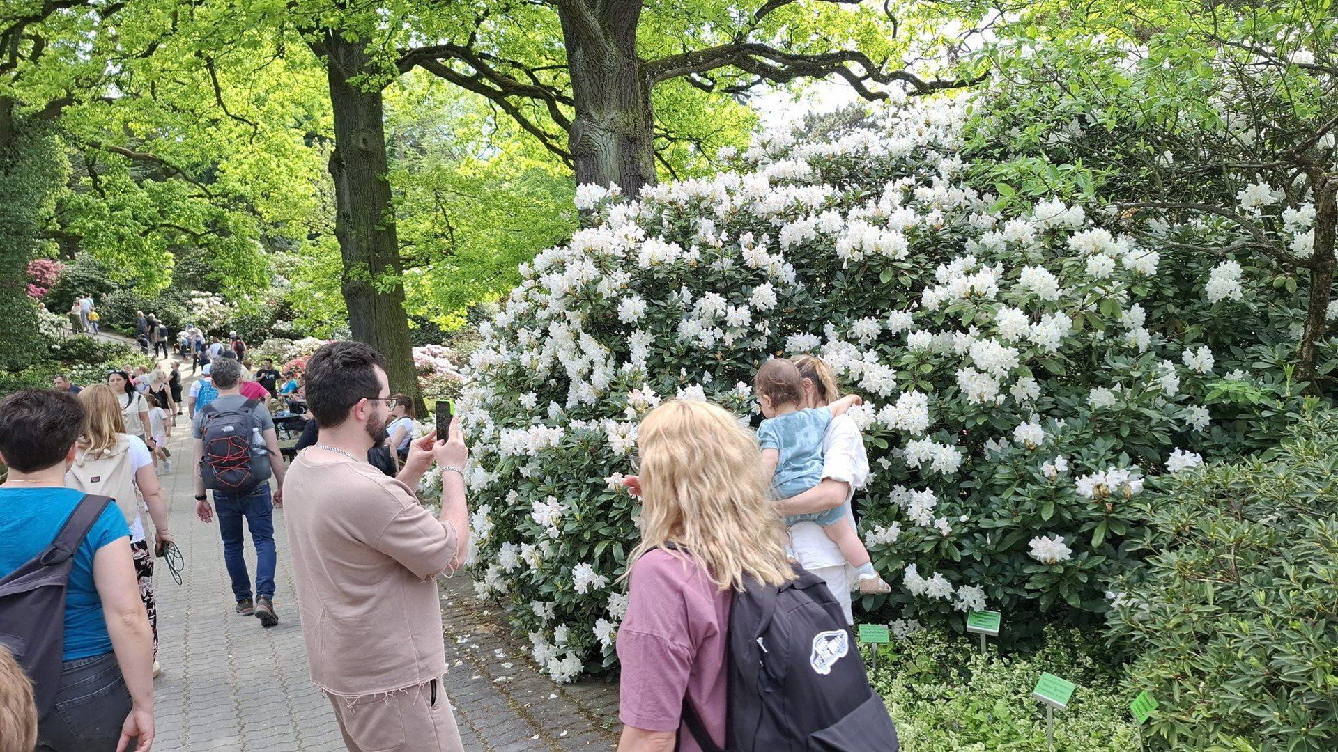Na południu Dolnego Śląska, zaledwie godzinę drogi od Wrocławia, kryje się wyjątkowe miejsce - Arboretum w Wojsławicach. To nie tylko ogród botaniczny, ale też romantyczny park z ponad 200-letnią historią, w którym przyroda splata się z pasją i sztuką ogrodniczą.
