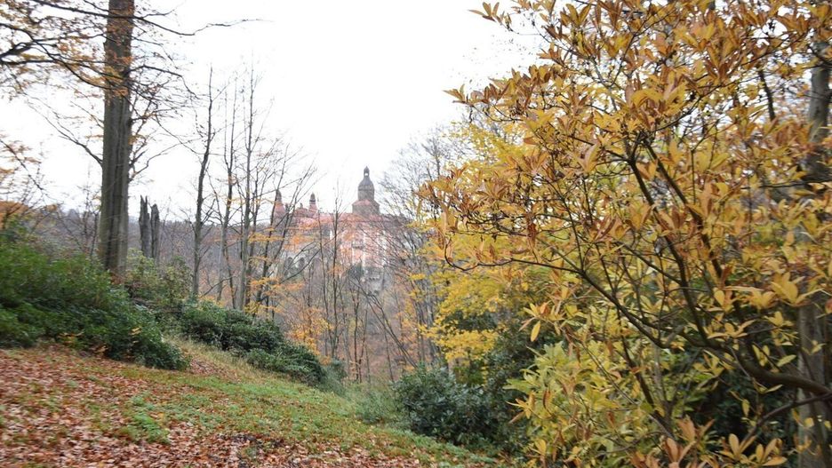 Jesień w okolicach Zamku Książ. Warto tam wybrać się i o tej porze roku