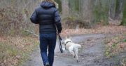 Uwaga na trutkę przy ul. Budowlanych w Gnieźnie. Schronisko apeluje do właścicieli psów