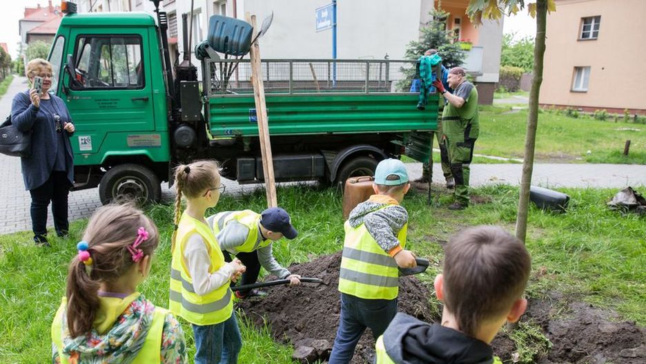 Katowice. Rusza trzecia edycja progrmu "wCOP drzewo".