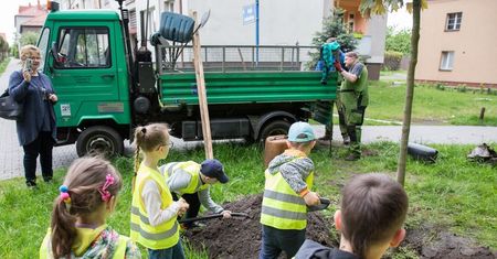Katowice. Łatwy sposób na zielone otoczenie