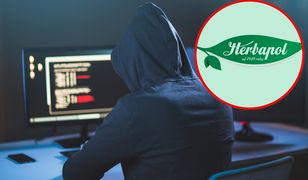 Cyberatak na Herbapol Lublin i blisko milion dolarów okupu. "Prowadzimy postępowanie"