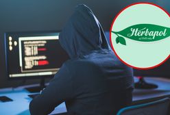 Cyberatak na Herbapol Lublin i blisko milion dolarów okupu. "Prowadzimy postępowanie"