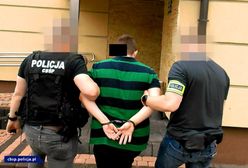 Sprzedali w internecie co najmniej 50 kg dopalaczy. Usłyszeli 17 zarzutów