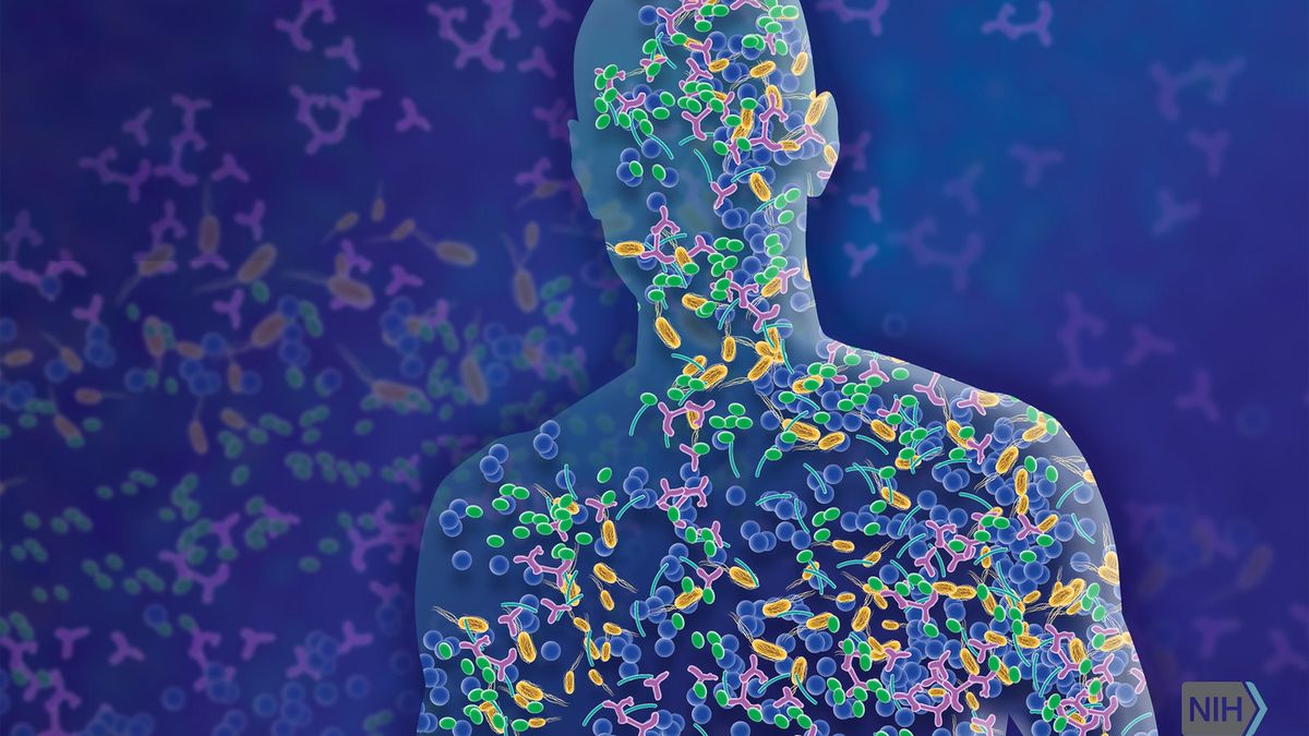 Bakterie a ludzkie ciało