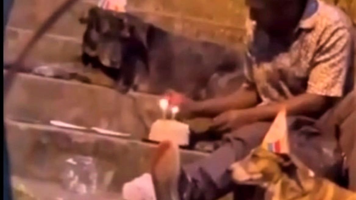 Bezdomny wyprawił swoim psom przyjęcie urodzinowe 