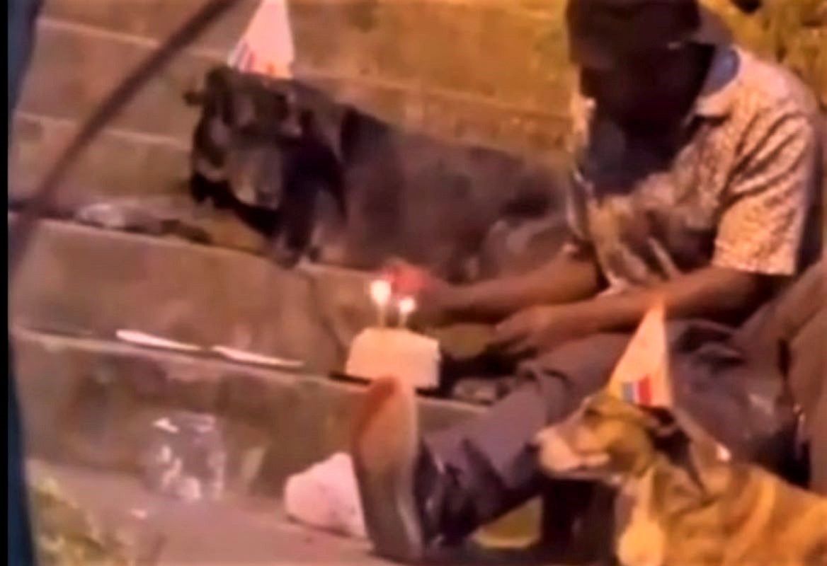Bezdomny wyprawił psom przyjęcie urodzinowe. Zachwyceni internauci zrobili to