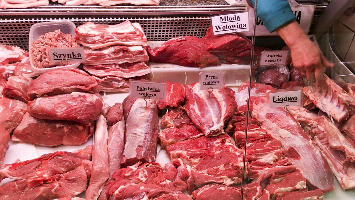 Reporter baza 2020-06-a
16.03.2018 Lodz. Miesny. Fot. Piotr Kamionka/REPORTER
Piotr Kamionka/REPORTER