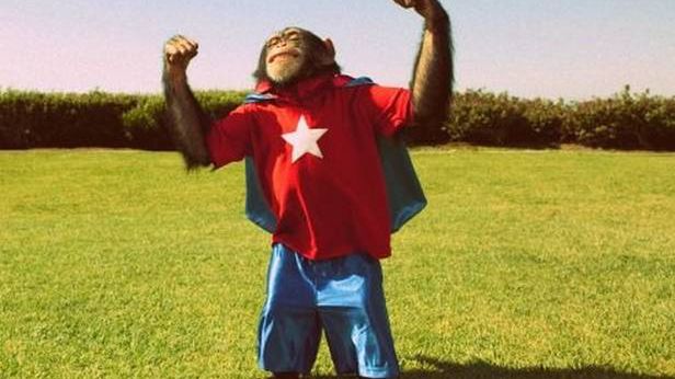 Umarł Picnik, niech żyje PicMonkey! Edycja zdjęć online stała się jeszcze prostsza 1