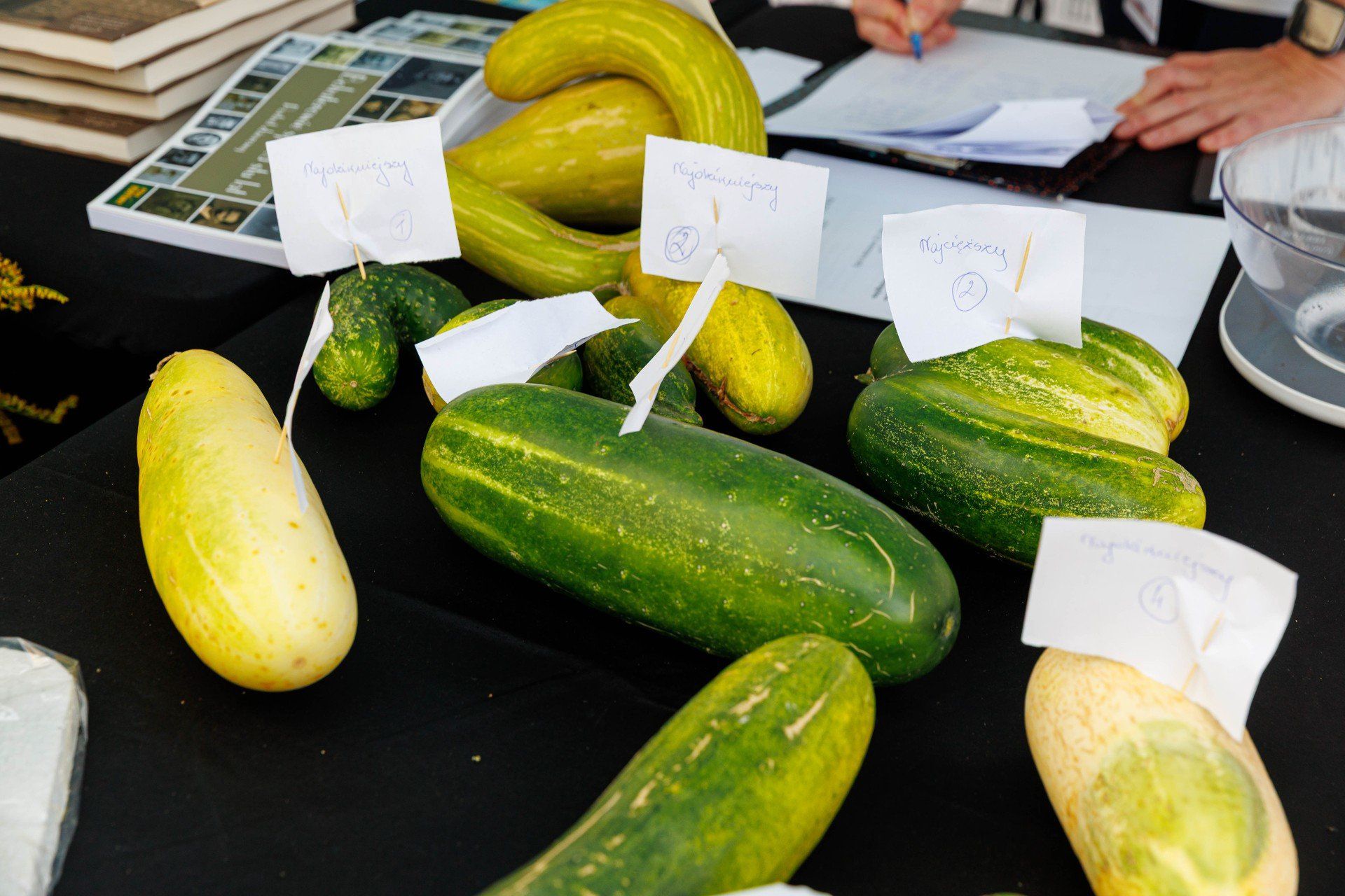 Ogólnopolski Dzień Ogórka w Kruszewie.