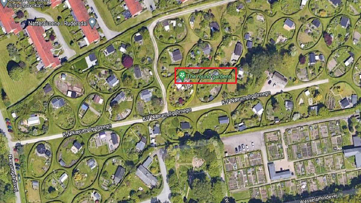 Niesamowite ogródki działkowe. Architekt miał ważny powód, by tak je zaprojektować