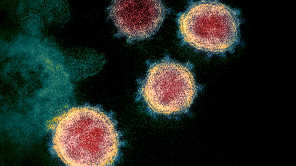 koronawirus