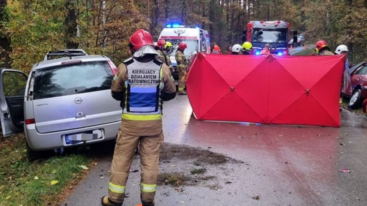 Wypadek w gminie Małogoszcz. Nie żyją dwie kobiety
