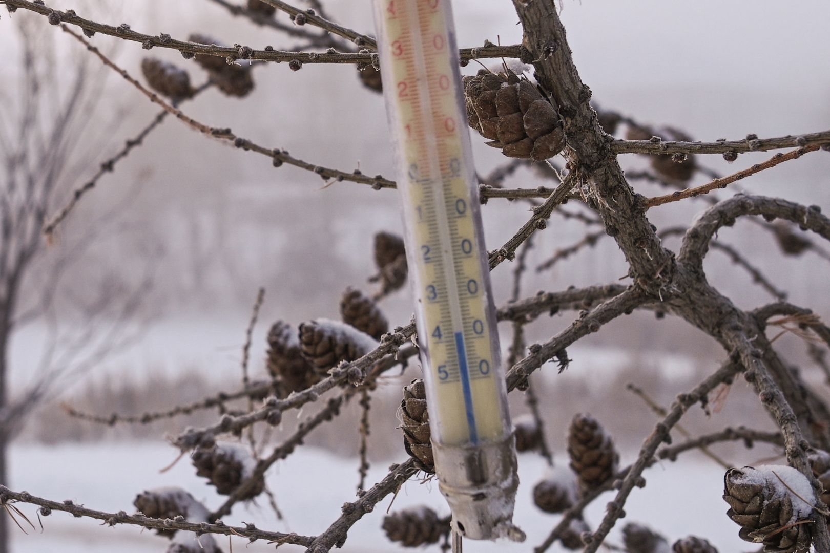 Nawet -30 stopni Celsjusza. Prognoza na listopad pokazuje jasno. Zima nadchodzi