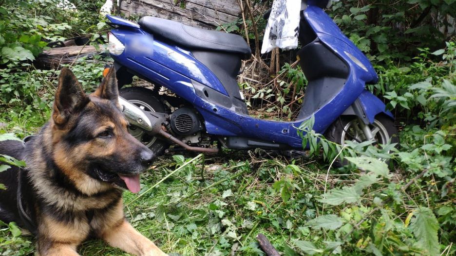 Kair doprowadził policjantów do skradzionego skutera