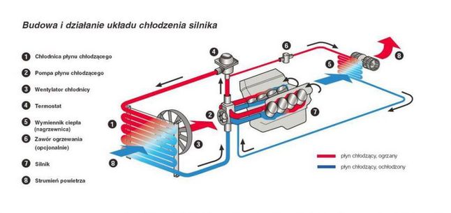 Schemat układu chłodzenia