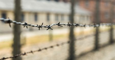 Swastyki na pomniku ofiar Holocaustu. Atak wandali w Grenoble