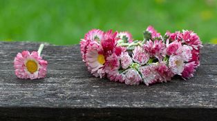 Kolorowy Festiwal Piosenki w Skarżysku-Kamiennej. Święto integracji i talentów osób z niepełnosprawnością intelektualną