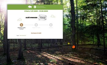 Wystarczyły 2,5 minuty. Bon rozszedł się jak świeże bułki
