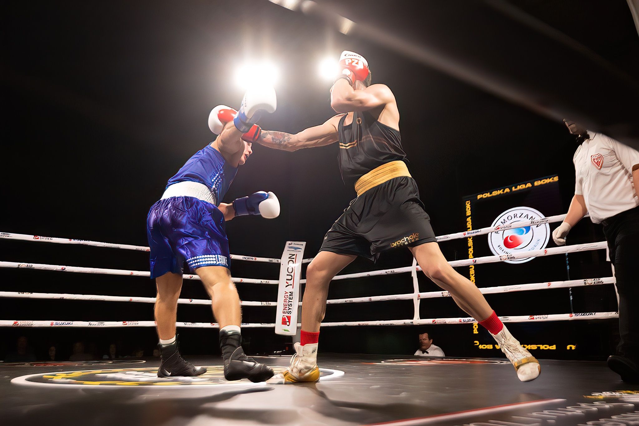Polska Liga Boksu Pomorzanin Boxing Team - Imperium Wałbrzych