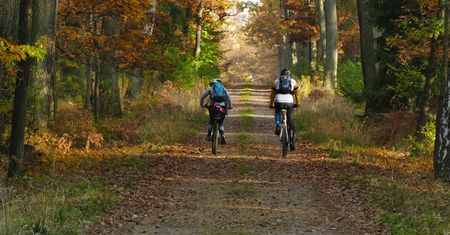 Poznaj 5 rowerów trekkingowych gotowych na każdą trasę
