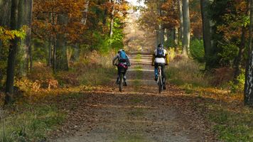 Poznaj 5 rowerów trekkingowych gotowych na każdą trasę