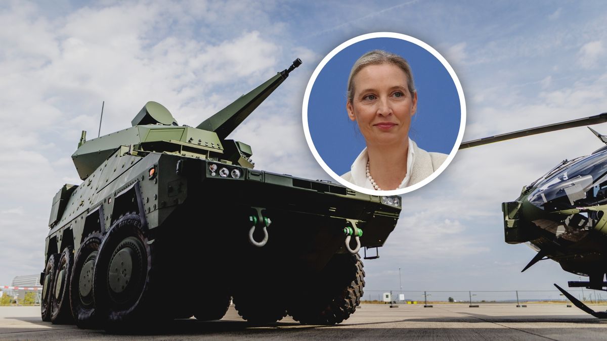 Alice Weidel jest współprzewodniczącą AfD