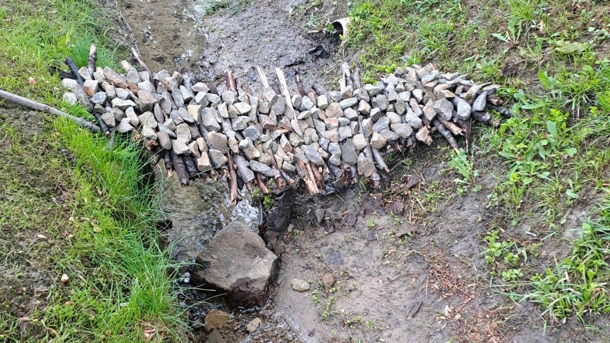Leśnicy pokazali zdjęcia. Niezwykły mostek.