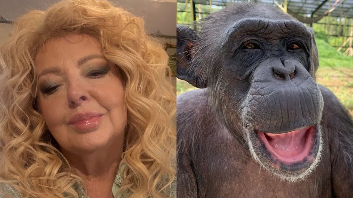 Magda Gessler doczekała się niefortunnego porównania