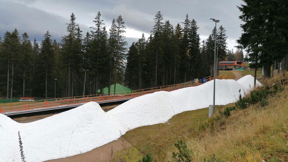 śnieg