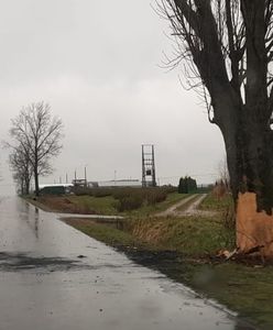 Końskowola. Auto zajęło się ogniem. Nie żyje 19-latka