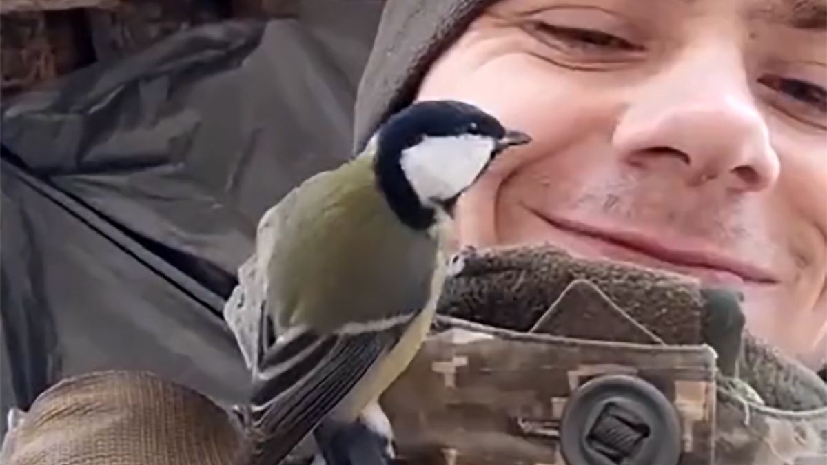 Sikorka postanowiła wesprzeć ukraińskiego żołnierza siadając na jego kurtce