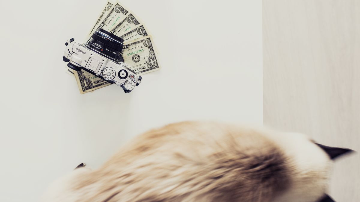 Czy darmowi fotografowie naprawdę psują rynek? 1