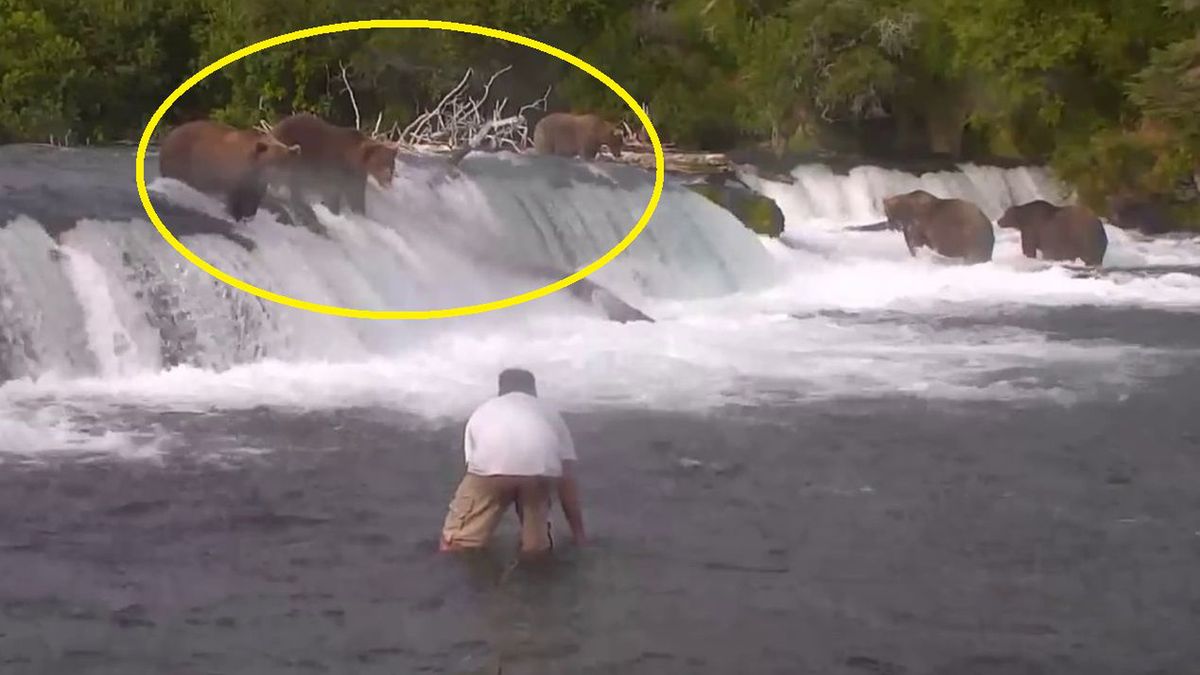 Mężczyzna poniósł ogromne konsekwencje